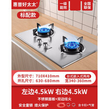 好太太煤气灶家用双灶台式嵌入式两用天然气燃气灶液化气猛火炉具倍为 4.5kw标配款加厚不锈钢面板 液化气