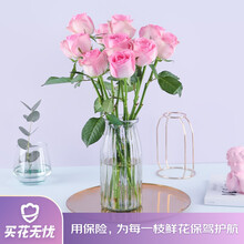 花点时间 云南玫瑰 折射 雪山 鲜花 花材 产地直发 冷链运输 单头玫瑰10枝 粉红雪山