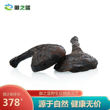 【御之蓝】 东北野外紫灵芝 林芝 深山生长整枝长白山黑灵芝可切片500克 灵芝片