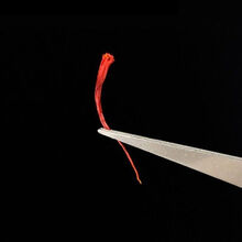 西藏红花正宗精选特级泡茶花果茶臧红花藏红花 特级藏红花3克【送金丝皇菊】