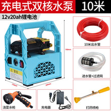 汐岩 小型充电式抽水泵农用便携式12v小型浇菜户外抽水机自动高压水泵家用灌溉浇菜喷雾器洗车神器 20AH锂电池双核水泵+10米水管