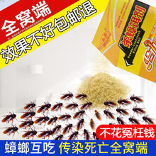 除杀蟑螂药一窝端灭蟑螂室内去蟑螂克星贴厨房家用蟑螂屋 20包杀蟑饵剂药粉 收藏产品关注店铺享优先发货