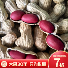 大禹 四粒花生种子富硒黑花生春季高产优质山东鲁花种籽带壳红皮花生米蔬菜种孑日本 鲁寿花生种子 1斤【高产 不带壳花生米】