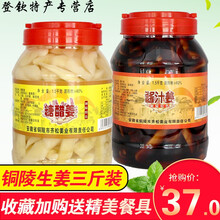5折 【安徽特产】铜陵白姜贡姜 下饭菜 腌制泡菜嫩生姜糖醋酱汁1500g 酱汁(咸味)口味