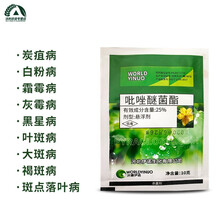 沃德伊诺 吡唑醚菌酯25% 果树蔬菜霜霉病叶斑病锈病黑星病早晚疫病稻瘟病杀菌剂 10克*10袋
