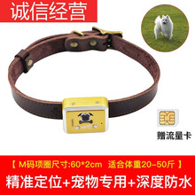 狗狗gps项圈宠物定位器防丢神器猫咪跟踪订位牛羊追跟追踪仪 中型犬(真皮项圈+灯光寻宠)定位版
