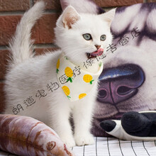 猫咪三角巾口水巾围巾幼猫围脖成猫领巾宠物饰品卡通三角巾围嘴 小菠萝 S