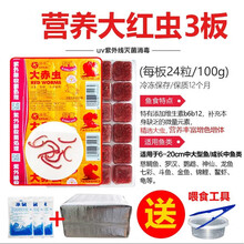 冷冻红虫冰冻血线虫牛心汉堡丰年虾干鹦鹉罗汉七彩神仙龙鱼食饲料 3板营养大红虫