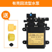 电动喷雾器双泵12V双核水泵高压隔膜泵果树高压直流打药水泵 有壳回流双泵