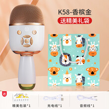 话筒音响一体麦克风适用唱吧手机无线蓝牙唱歌专用家庭卡拉ok全民k歌电视KTV神器儿童小巨蛋扩音 香槟金【嗨唱版】充电线+音频线 官方标配
