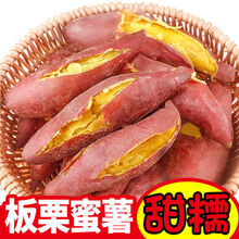 【超低价】板栗红薯新鲜黄心蜜薯现挖地瓜番薯新鲜蔬菜10斤2斤 板栗薯【带箱10斤小果】