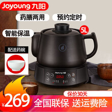 九阳（Joyoung）煎药壶中药壶中药锅养生壶熬中药电砂锅全自动药罐中药煲药壶电药锅 5升DGD5003BQ