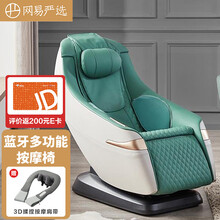 网易严选 智造 蓝牙多功能按摩椅 2D机芯L导轨 白绿色