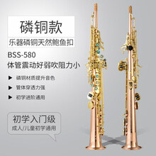 法国布兰琪Blanche 萨克斯 降B调高音萨克斯一体管 /风乐器 专业考级演奏管乐器 磷铜BSS-580