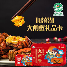 鲜禾鲜大闸蟹298型 4998型