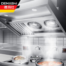 德玛仕（DEMASHI）油烟净化一体机商用 不锈钢烟罩抽油烟机低空油烟净化器LZY-YT-J1500（4000风量1.5米长）