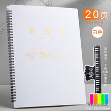 乐谱夹a4歌谱琴谱夹册文件夹展开式不反光乐谱夹子架子鼓钢琴放装谱子的黑色谱本夹可修改透明插页合唱收纳 1个白色【20张/可放40页】送谱夹子+100枚索