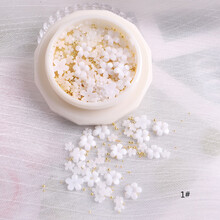 美甲饰品美甲网红饰品小花花饰品指甲装饰迷你可爱立体美甲小花饰品 1# 瓶装金珠小白花