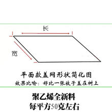 果树防虫网罩防鸟网罩子农用大棚蔬菜杨梅莲雾罗幔菜地防虫网家用 平面长3米x宽3米【小树用】