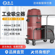扬子（YANGZI）C2工业吸尘器工厂车间用粉尘粉末专用大吸力大功率除尘净化电瓶吸尘机 150/60（60L碳钢桶身款）