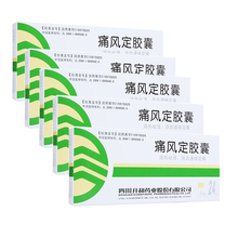 升和 痛风定胶囊 0.4g*24粒 清热祛湿活血通络定痛治疗痛风 5盒装
