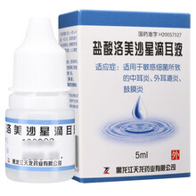 天龙 盐酸洛美沙星滴耳液 5ml*1瓶/盒 适用于敏感细菌所致的中耳炎外耳道炎鼓膜炎 1盒装