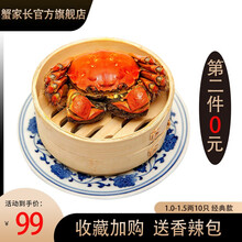 【活蟹】蟹家长大闸蟹 六月黄大闸蟹鲜活 全公母螃蟹 大闸蟹鲜活 现货河蟹活物 1.0-1.5两10只 经典款