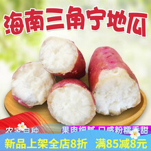 小香薯海南板栗红薯白心三角宁地瓜新鲜红皮沙地番薯干面甜 5斤 小果