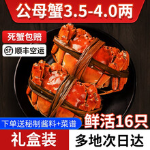 【活蟹】觅味鲜大闸蟹公母蟹3.5-4.0两16只六月黄超大蟹新鲜螃蟹鲜活生鲜湖蟹现货河蟹 公母蟹1.8-2.1两8只