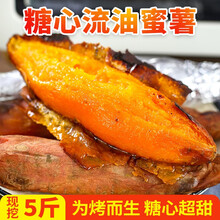 黑土豆新鲜 紫土豆小土豆5斤 现挖黑金刚 黑美人马铃薯 烟薯25号 沙地糖心蜜薯 农家红薯 粗粮代餐 烟薯5斤