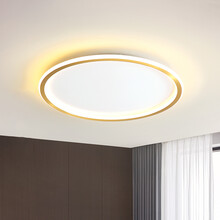 希尔顿卧室吸顶灯简约圆形超薄现代书房灯北欧家用温馨浪漫房间灯 铜吸顶灯（三适合10-15m²）7124-SQ