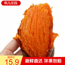 帆儿庄园 蜜薯烟薯25糖心红薯超甜稀瓤5斤红心农家沙地新鲜烟薯番薯 2.5kg