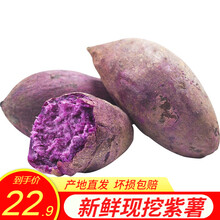 对面小城 产地直发 云南农家新鲜紫薯山芋洋芋 新鲜蔬菜 2.5kg