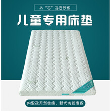 天然椰棕婴儿床棕垫宝宝床垫新生儿童乳胶床垫四季通用  定做 竹纤维乳胶款6cm厚：配套小床150*80 其他