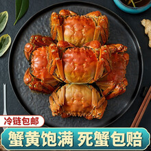 【活蟹】现货蟹品煌大闸蟹 大蟹 六月黄 特大鲜活的大蟹 生鲜 螃蟹水产河蟹 活体实物全公母大闸蟹 六月黄大闸蟹1.3-1.6两 十只礼盒装