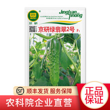 农科院京研黄瓜种子带刺翡翠旱秋黄瓜蔬菜种子 四季播种迷你水果黄瓜种籽 室内外盆栽种植 京研绿翡翠2号10克/袋