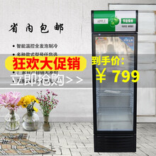 加笛 啤酒柜饮料展示柜小型单门冰箱冷藏立式商用蔬菜水果保鲜市门面 黑绿 55x55x160cm  标配