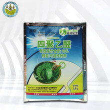 添诺四聚乙醛粉剂四聚乙酫喷雾杀灭蜗牛药鼻涕虫杀虫剂专用杀螺剂 1500g