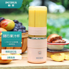 柏翠（petrus ）榨汁机 便携式充电迷你无线果汁机料理机研磨随行杯自动清洗PE2033
