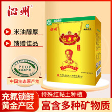 沁州黄小米礼盒3kg 年货高端礼盒（100g*30袋 山西特产 月子米 杂粮)