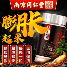 百阿堂人参鹿血片可配男性滋补延时持久速效鹿茸鹿肾鹿鞭膏成人滋阳阴虚增大增粗玛咖牡蛎肽黄精片海狗固精丸 人参鹿血片*60粒【实发1瓶*60粒/瓶】