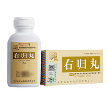 仲景 右归丸 45g 1盒装 1盒装