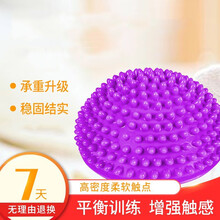 触觉刷按摩榴莲球平衡前庭感统失调训练器材儿童早教家用教具全套 榴莲球紫