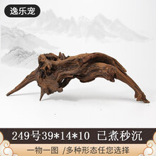 逸乐宠 紫柚木鱼缸造景沉木造景天然枯木头水族草缸懒人装饰小号型莫斯树桩根水榕成流木 249号已煮沉木