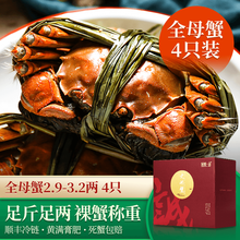 【活蟹】诚蟹一品 大闸蟹鲜活 全母蟹4只装 螃蟹生鲜现货特大 中秋国庆节日水产礼盒 全母蟹2.9-3.2两 4只