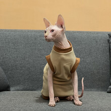 无毛猫衣服纯棉夏季售完无补斯芬克斯猫衣服防过敏德文衣服 驼色背心 M