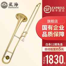 星海长号XAT-110/120降B调中音长号乐器 Bb调拉管长号专业演奏乐队学校舞台成人学生考级管乐 星海XAT-120长号+全套礼包