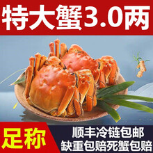 【活蟹】蟹品煌大闸蟹3.7-4.0两20只鲜活六月黄活体特大水产 河蟹超大固城湖螃蟹生鲜批发礼盒装4 大闸蟹（2.5-2.8两） 6只