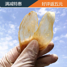 熙圣堂*鸡蛋胶黄花胶鱼胶小鱼胶干货鸡蛋鱼胶鱼鳔鱼肚干货鱼泡煲汤 鸡-蛋-黄花胶（SSS级-50g）