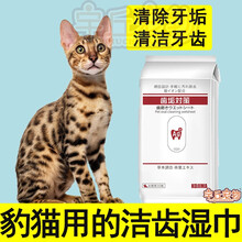 孟加拉豹猫洁牙湿巾清洁牙齿除口臭护龈去口臭嘴巴去除牙结石抗菌 一包30枚